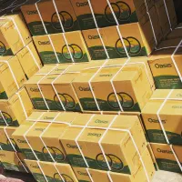 نمایندگی اوسیس در بازار آهن