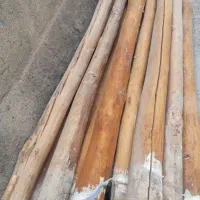 خرید انواع چوب خشک تیر سقفی ودرخت تر
