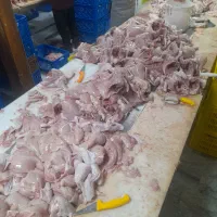 بیخسکار و کارگر ساده