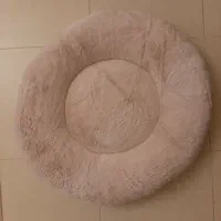 جای خواب سگ و گربه