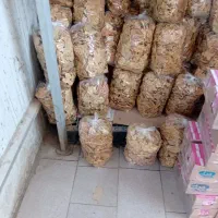 نان خشک ۲ کیلویی