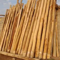 خریدار انواع چوب روسقفی چنار و ضایعات