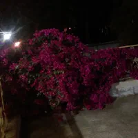 فروش خونه‌ میدان آزادی کوچه آزادی 3