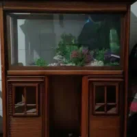 لوازم منزل|جاروبرقی، جارو شارژی، بخارشو|میانه, |دیوار