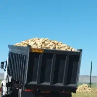 عمده فروشی اجر