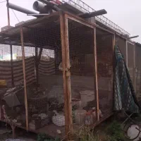 سه قفس  حدودا ۹ متری پرندگان و نگهداری حیوانات