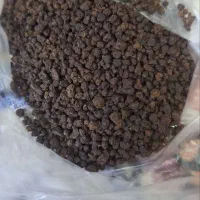 چای کله مورچه ای