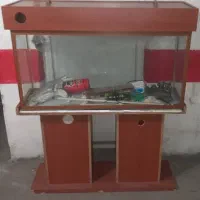 آکواریوم بزرگ