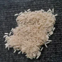 برنج هاشمی درجه ۱ سورتینگ زده