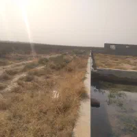 فروش باغ پسته ۱۵ ساله|فروش دفتر صنعتی، کشاورزی، تجاری|رشتخوار, |دیوار