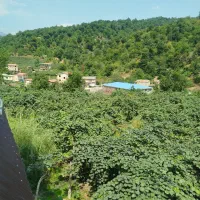 نیاز به وام