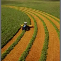 اجاره ۲۰ تا ۷۰ هکتارزمین کشاورزی