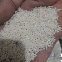 برنج سرلاشه هاشمی ۲۹۰۰۰۰ت