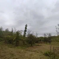 فروش ۲۲۵متر زمین باغی شمال یا معاوضه با خودرو