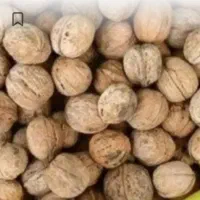 گردو پوست کاغذی
