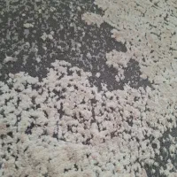 فرش اشپزخانه|فرش|همدان, |دیوار