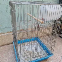 قفس کاسکو میله ضخیم