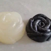 خاویار حلزون ،حلزون تراپی|خزنده|اراک, |دیوار