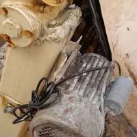 نوه سالم|فروشگاه و مغازه|نسیمشهر, |دیوار