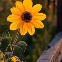 راهنمایی کنید