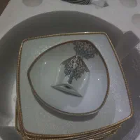 سرویس چینی زرین