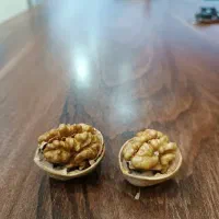 گردو خارجی|حراج|دیلم, |دیوار