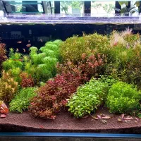 استخدام فروشنده خانم یا اقا