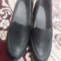 کفش|کیف، کفش، کمربند|قم, ولیعصر|دیوار