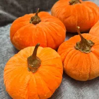 تزئینی|صنایع دستی و سایر لوازم تزئینی|تهران, ارامنه|دیوار