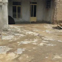 کلنگی واقع درقوشچی