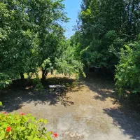 اجاره روزانه خانه باغ دو خواب|اجارهٔ کوتاه‌مدت ویلا و باغ|سیاهکل, |دیوار