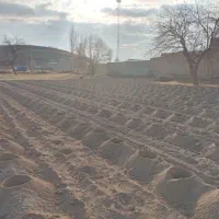 چاله کنی بادستگاه بادومته مجزا