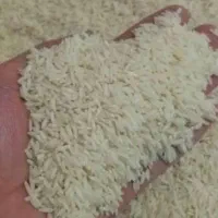 برنج‌طارم‌‌اصل‌شالیزارهایه‌مازندران
