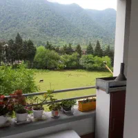 فرنیش ، ویو دریا و جنگل ، داخل مجتمع|اجارهٔ آپارتمان|رویان, |دیوار