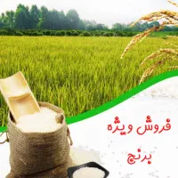 برنج کامفیروزی نو. تست قبل از خرید