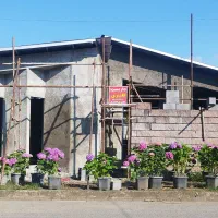 انجام کارهای ساختمان و بنایی|خدمات پیشه و مهارت|رامسر, |دیوار