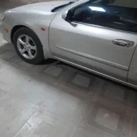 ماکسیما ۸۳ عروسک