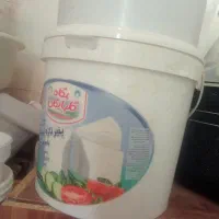 سطل پنیرمناسب برای مصارف خانگی وصنعتی