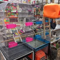 انواع قفس تزینی گرد و۴لیوان