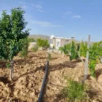 باغ فروشی معاوضه با ماشین|فروش خانه و ویلا|ابهر, |دیوار