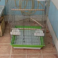 قفس پرنده