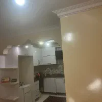همخونه خانم