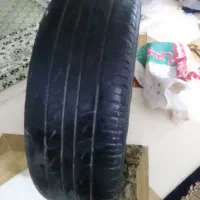 گردنی اسپرت