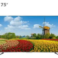 ال ای دی ۷۵ تی سی ال