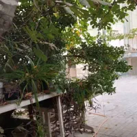 فروش خانه 17 شهریور