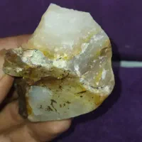 کلی.. فروشی