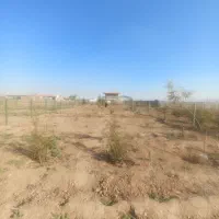 زمین باغ پسته به مساحت 500متر|فروش زمین و ملک کلنگی|شریف‌آباد, |دیوار