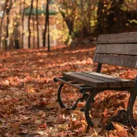 راهنمایی کنید اوقات فراغت