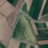 اجاره زمین کشاورزی برای بادام زمینی