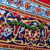 تزوی
